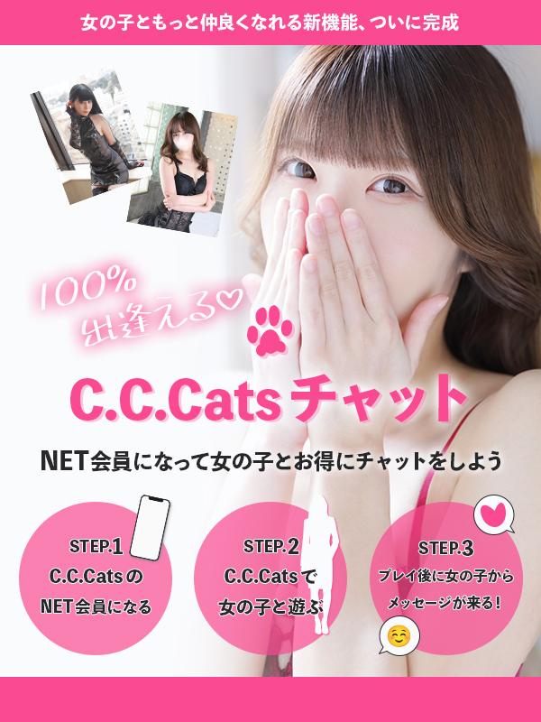 C.C.Cats：CC会員