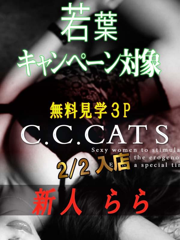 C.C.Cats：らら