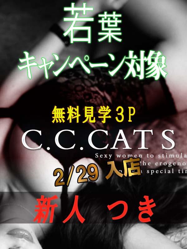 C.C.Cats：つき